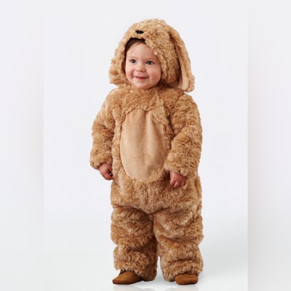 Pottery Barn Dog Costume, 0-6M, Used - Like New